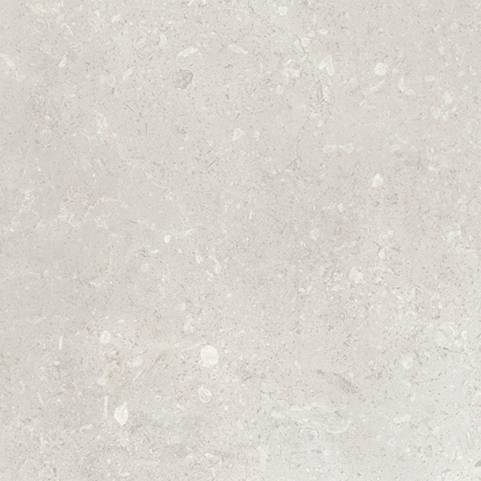 Belmont Gloss - Smooth Ceramic Wall Tile Sample