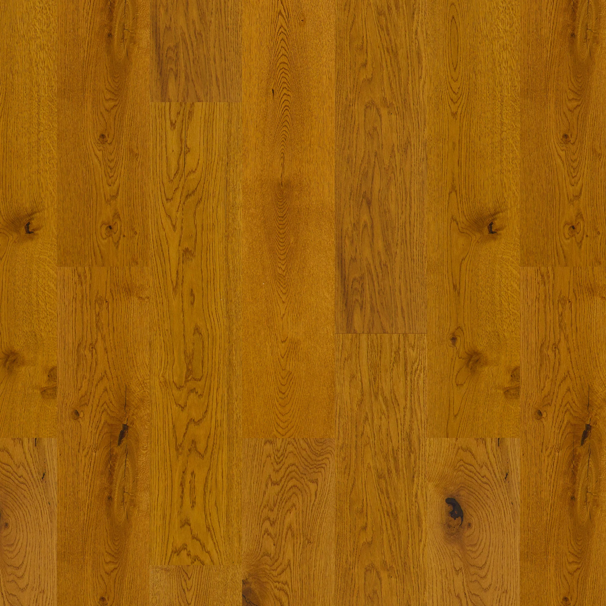 Golden Oak - 14mm UV Lacquered Engineered Real Wood Flooring - Image 2