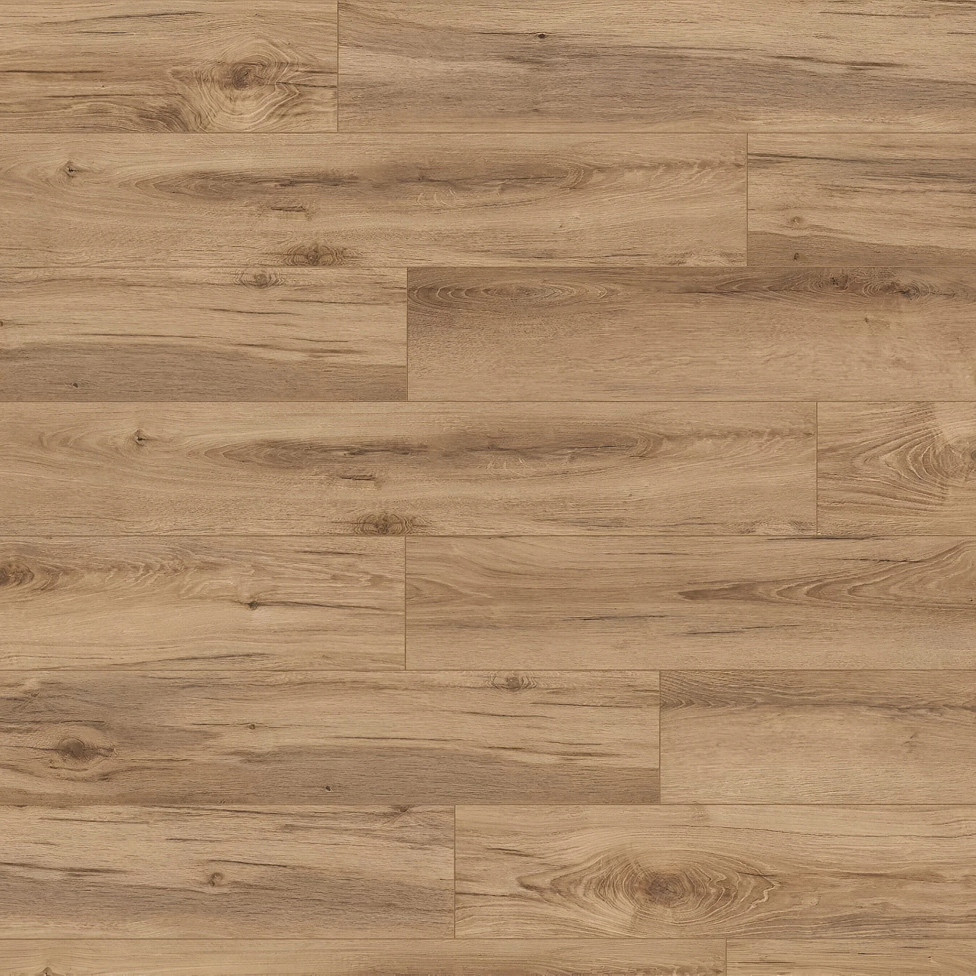 Armoury Oak - Supernatural Classic 8mm Embossed Laminate Flooring - Image 2