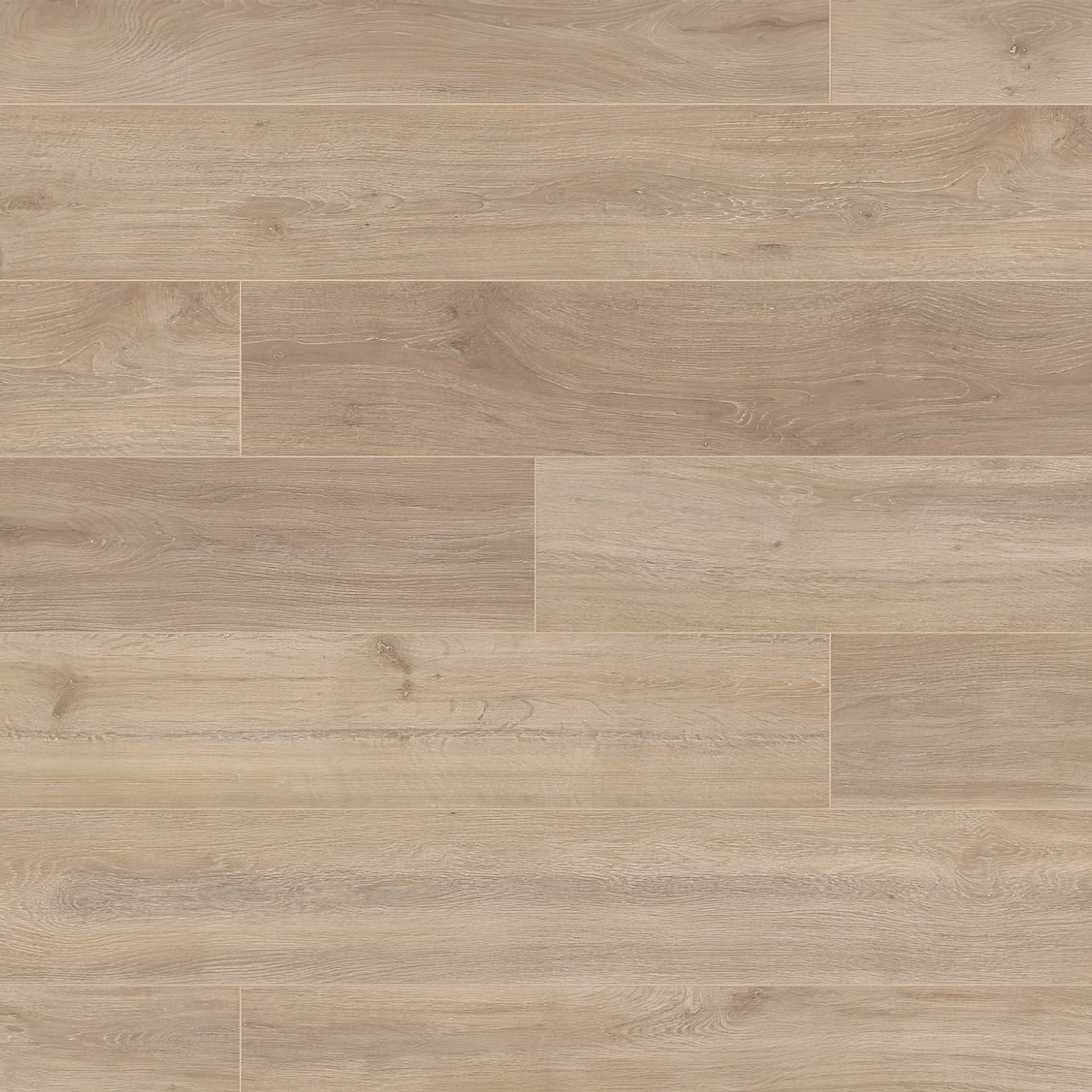 Khaki Oak - Supernatural Classic 8mm Embossed Laminate Flooring - Image 2