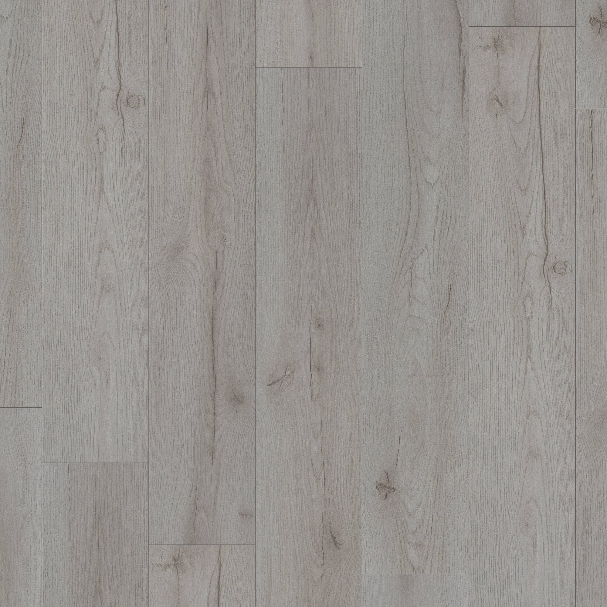 Century Oak Grey - Advanced 8mm Laminate Flooring - Image 2