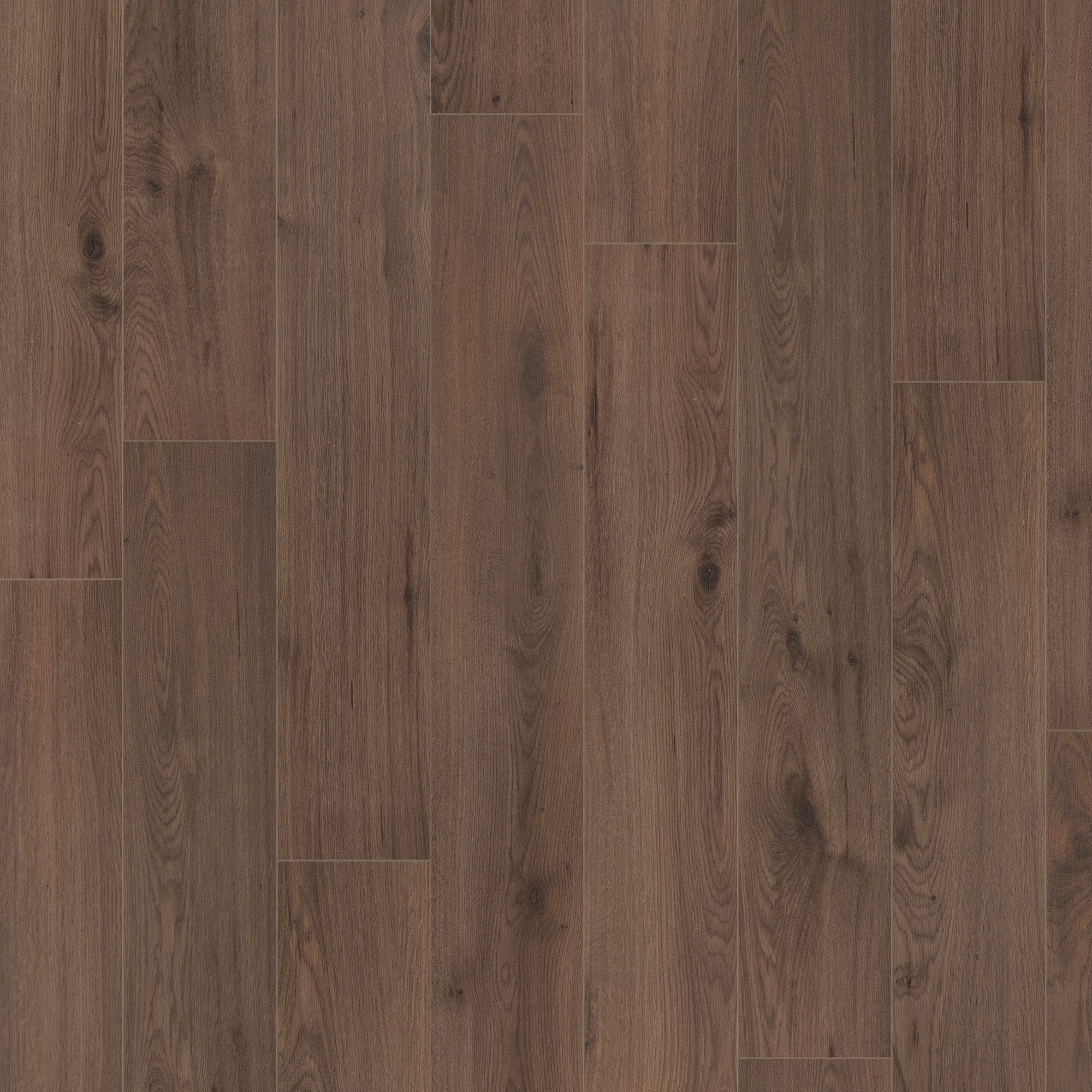 Millenium Brown Oak - Advanced 8mm Laminate Flooring - Image 3