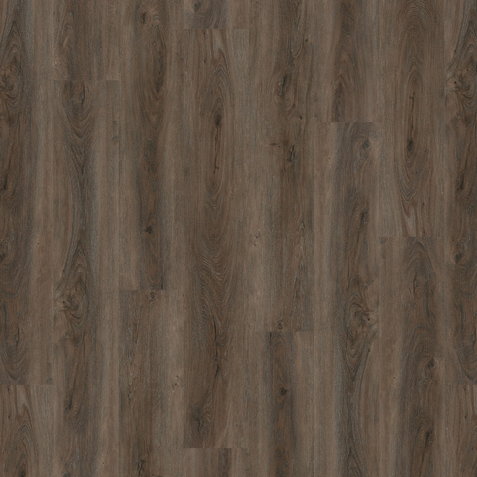 New Forest Oak - Lifestyle SPC 5mm Rigid Core Vinyl Flooring - Image 3
